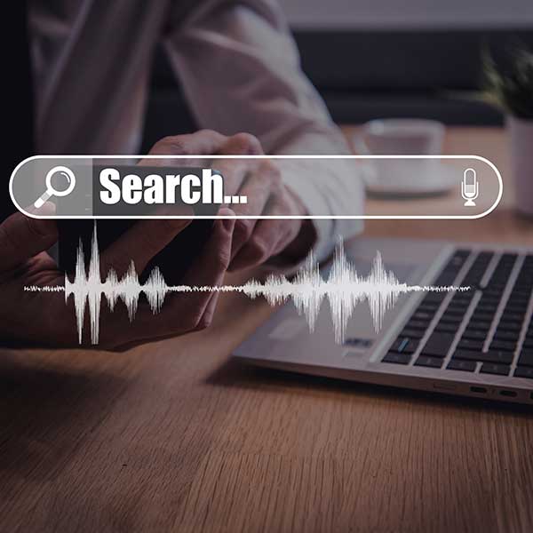 Truth About Voice Search